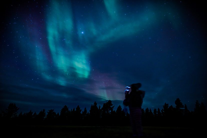 Silhouetted person looks up at green northern lights and stars above a dark treeline at night